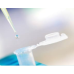 SARS-CoV-2 ViroQ SARS-CoV-2 ViroQ